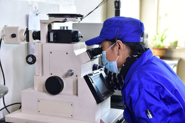 Trung Quốc Jinhuan Auto Parts Manufacturing Co., Ltd nhà máy sản xuất
